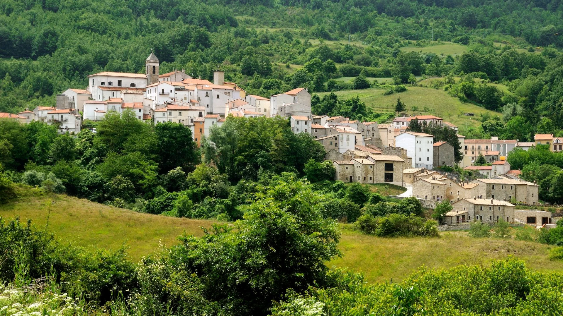 Avviso di selezione di 1 esperto junior  per il Comune di Castel del Giudice